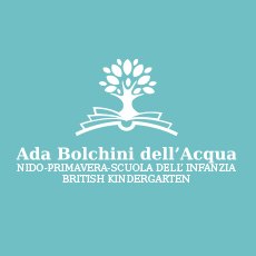 Bolchini