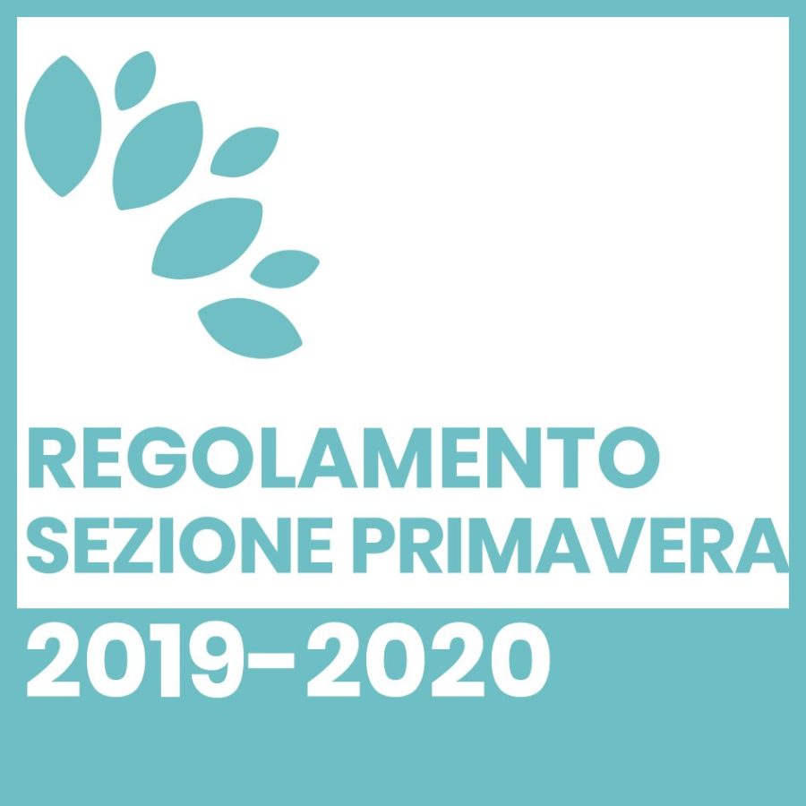 Regolamento sezione primavera 2019-2020